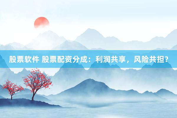 股票软件 股票配资分成：利润共享，风险共担？