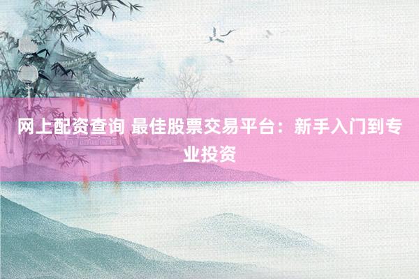 网上配资查询 最佳股票交易平台：新手入门到专业投资