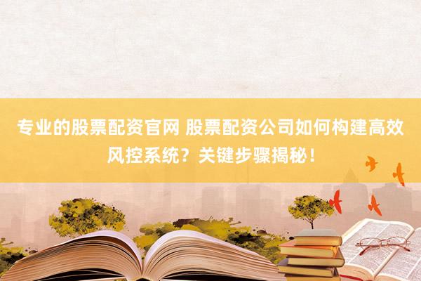 专业的股票配资官网 股票配资公司如何构建高效风控系统？关键步骤揭秘！