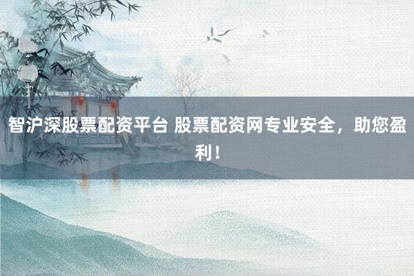 智沪深股票配资平台 股票配资网专业安全，助您盈利！