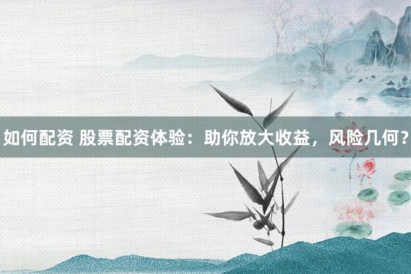 如何配资 股票配资体验：助你放大收益，风险几何？