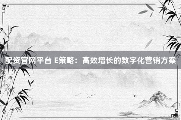 配资官网平台 E策略：高效增长的数字化营销方案