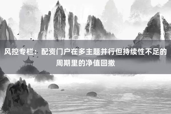 风控专栏：配资门户在多主题并行但持续性不足的周期里的净值回撤